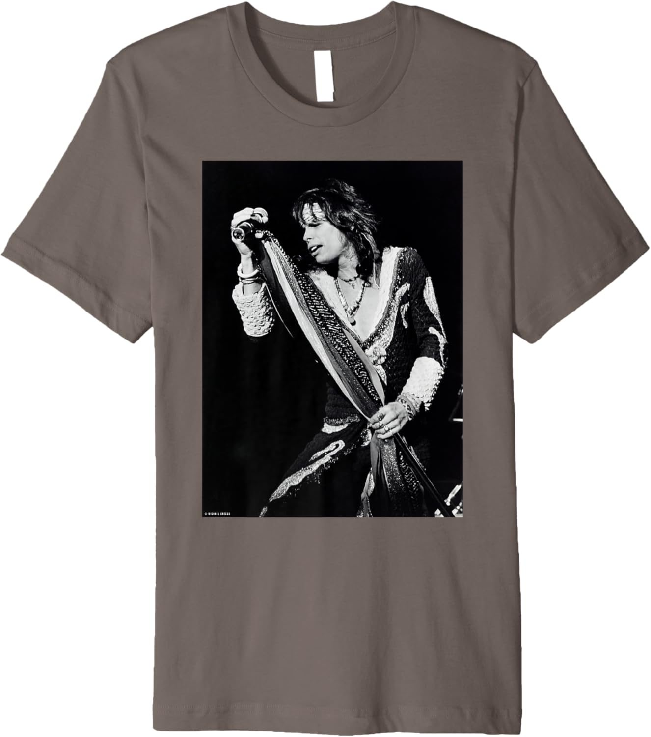 Aerosmith Live Steven Tyler by Michael Grecco Premium