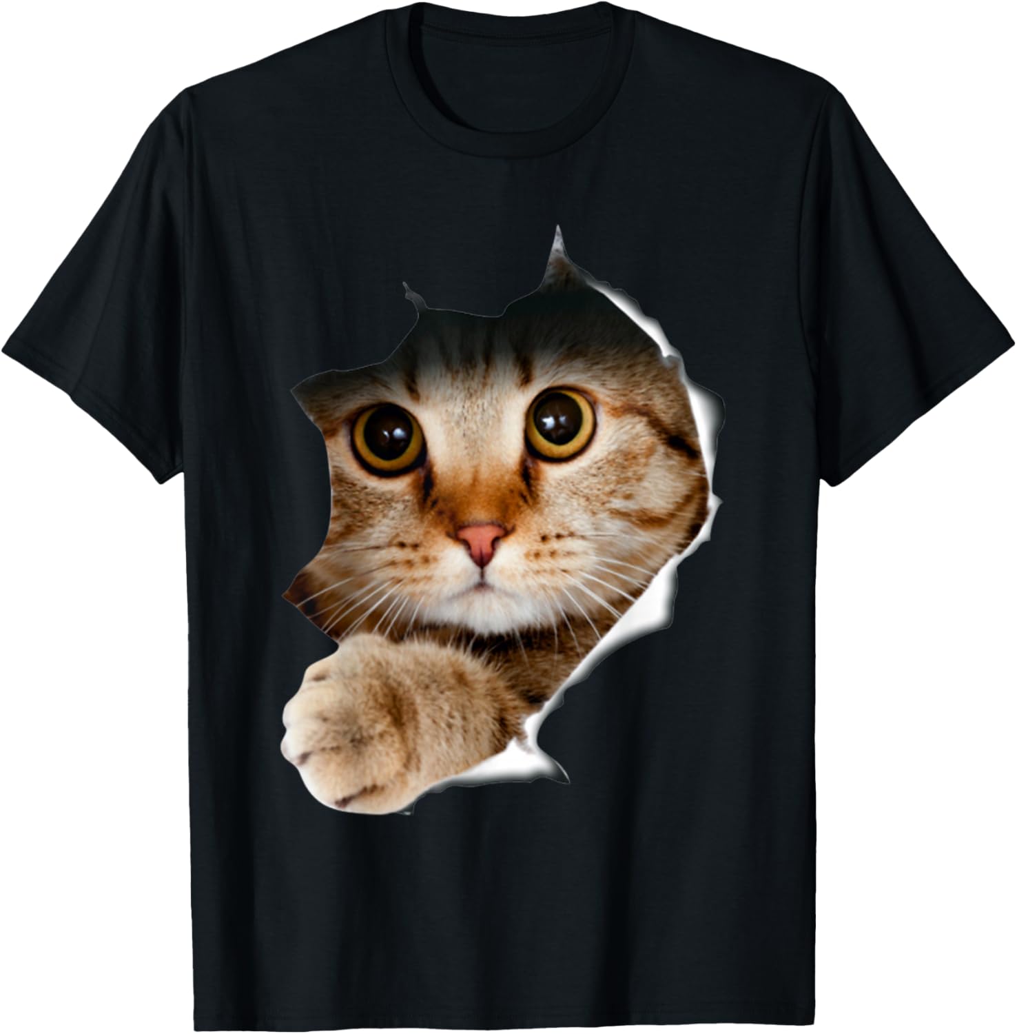 Cat Shirt, Cat Tshirt, Cat Torn Cloth Shirt, Kitten,Kitty