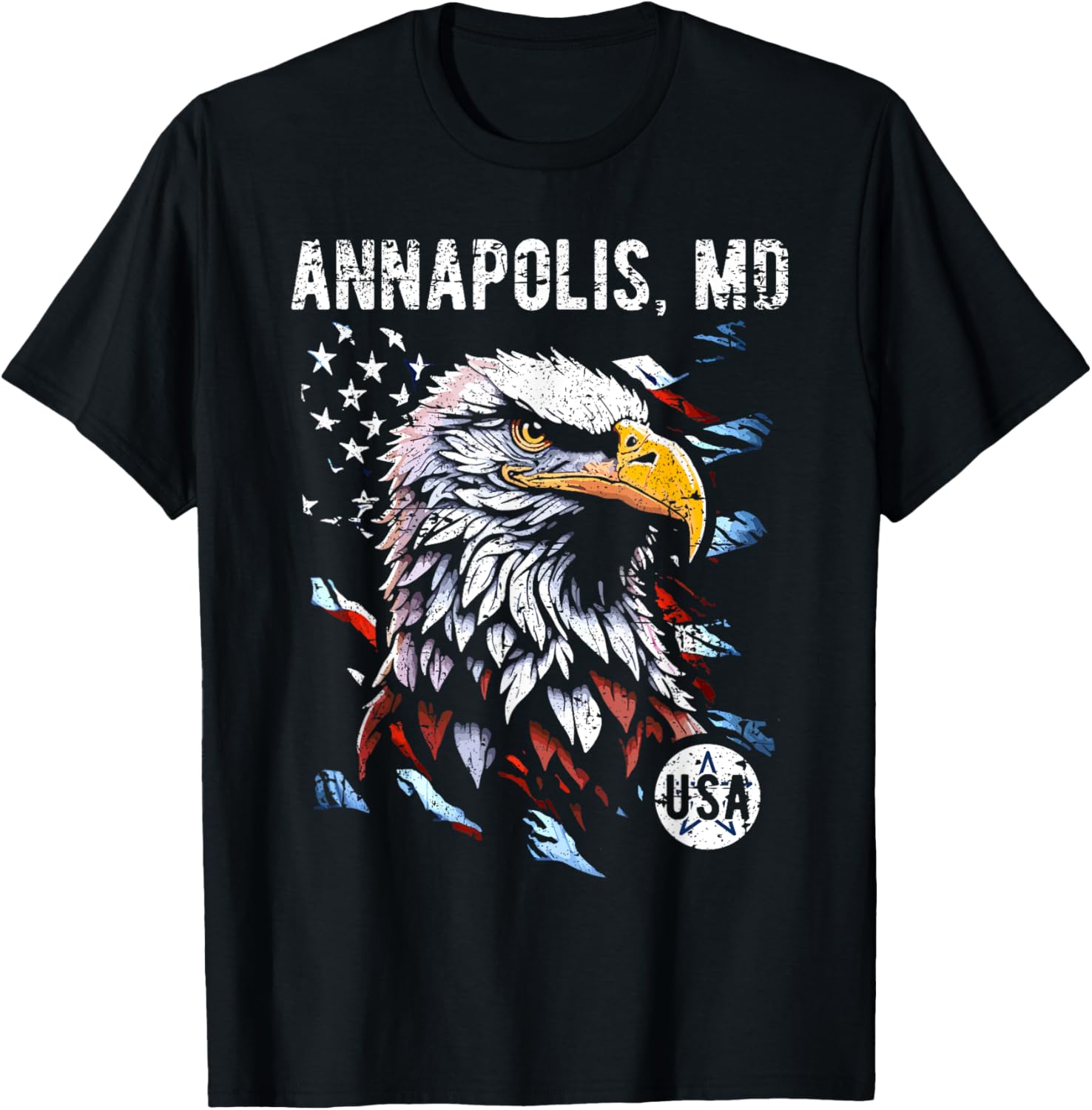Annapolis Maryland Patriotic Eagle USA Flag Vintage Design