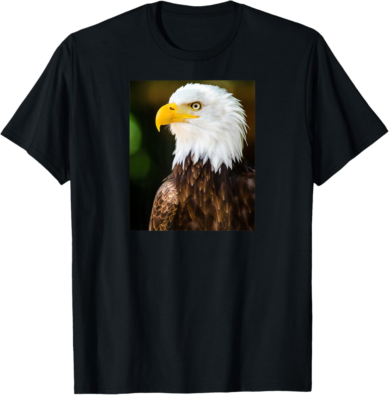 Bald Eagle Symbol of American Strength and Freedom