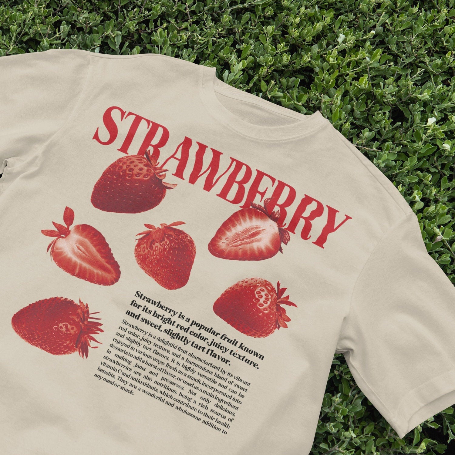 Cute Strawberry T-Shirt, Cottagecore Aesthetic Tee, Harajuku Style Fruit Top, Indie Soft Girl Fashion, Y2K Vintage Shirt, Tropical Apparel