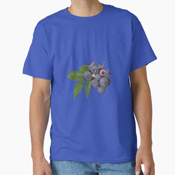Blueberry Berry Pomological Botanical Vector Illustration  Classic T-Shirt for Sale by taiche