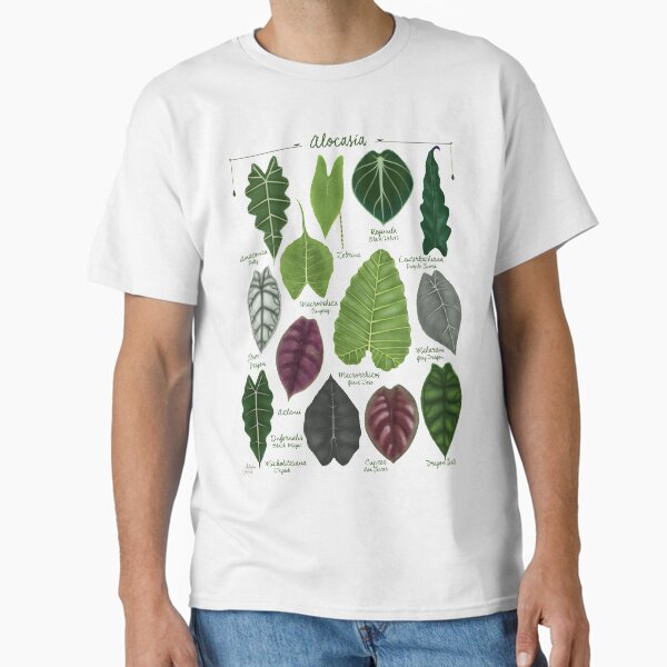 Alocasia leaf species illustration & pattern Classic T-Shirt for Sale by Alessandra-C