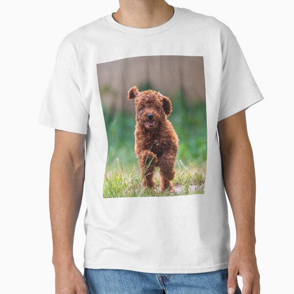 Cute Poodle Puppy Running  Classic T-Shirt for Sale by VanGaldo