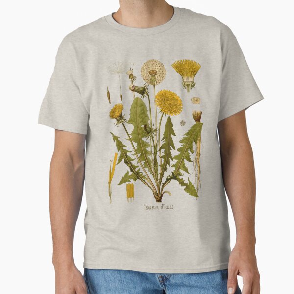 DANDELION Antique botanical illustration Classic T-Shirt by FLIP-original