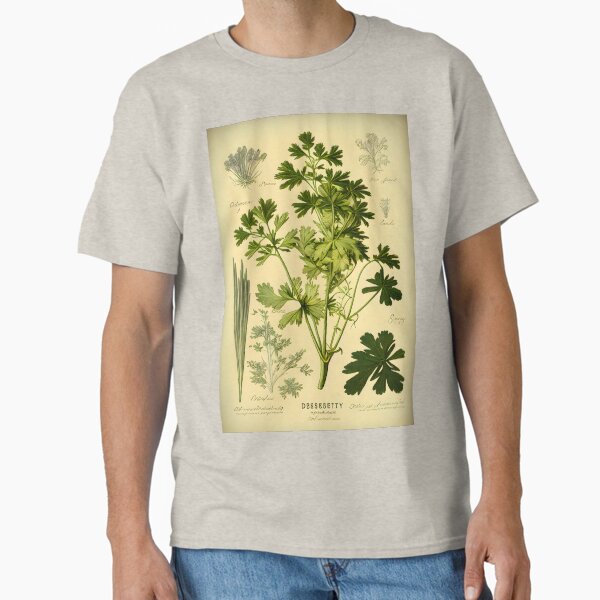 Botanical illustration, Parsley Classic T-Shirt by digitalbrosse