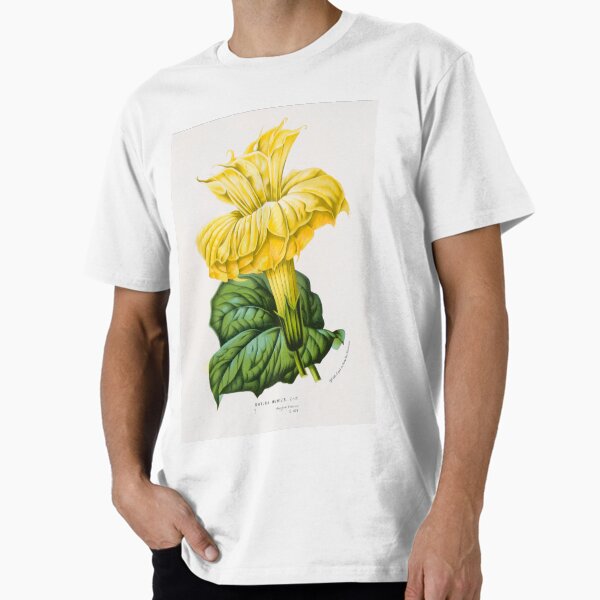 Datura metel Botanical Illustration Premium T-Shirt for Sale by FloraObscura